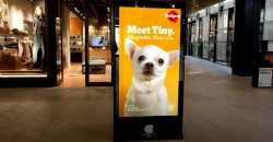 Colenso BBDO and Nexus Studios win Cannes Outdoor Lions Grand Prix for Pedigree ‘Adoptable’